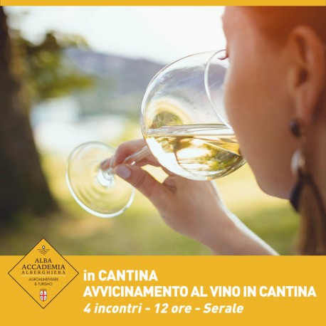 WINE EXPERIENCE - AVVIC. AL VINO 2.0 IN CANTINA