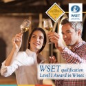 WSET qualification Level 1 Award in Wines