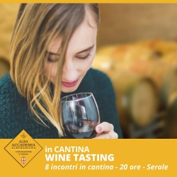 WINE TASTING - Degustazione di vini in cantina