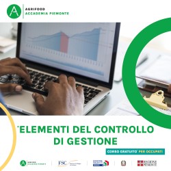 ELEMENTI DEL CONTROLLO DI GESTIONE