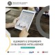 ELEMENTI E STRUMENTI DI BUSINESS INTELLIGENCE