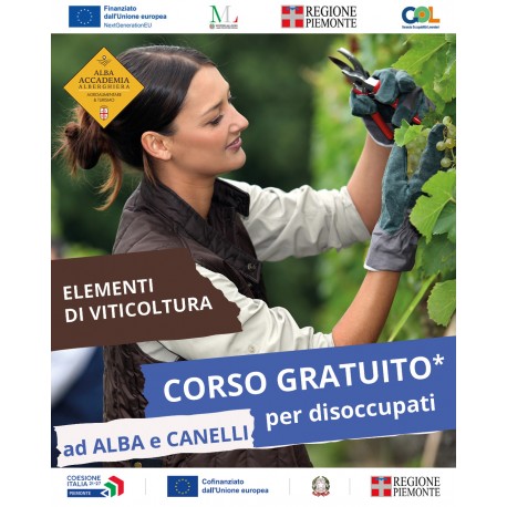 ELEMENTI DI VITICOLTURA