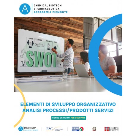 ELEMENTI SVILUPPO ORGANIZZATIVO ANALISI PROCESSI