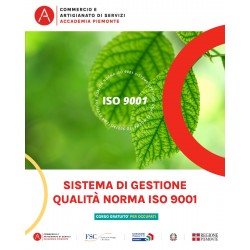 SISTEMA DI GESTIONE QUALITA'- NORMA ISO 9001