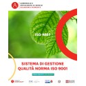 SISTEMA DI GESTIONE QUALITA'- NORMA ISO 9001