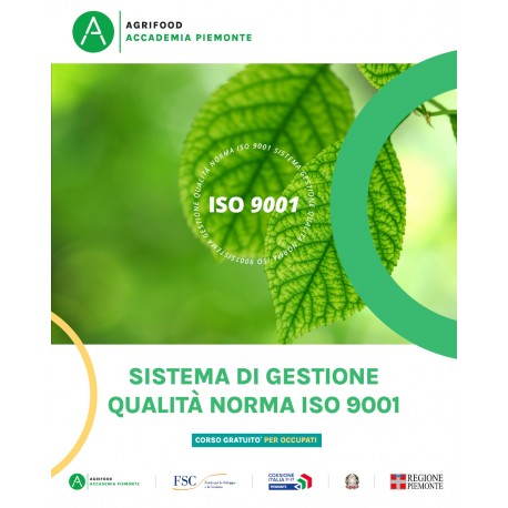 SISTEMA DI GESTIONE QUALITA' - NORMA ISO 9001