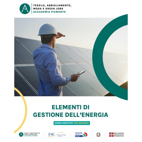 ELEMENTI DI GESTIONE DELL'ENERGIA