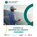 ELEMENTI DI GESTIONE DELL'ENERGIA