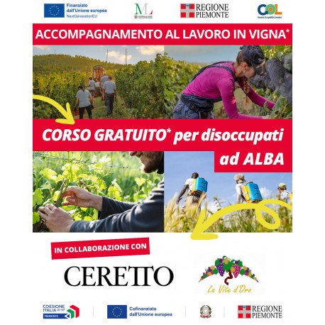 ACCOMPAGNAMENTO AL LAVORO IN VIGNA