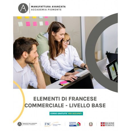 ELEMENTI FRANCESE COMMERCIALE LIVELLO BASE