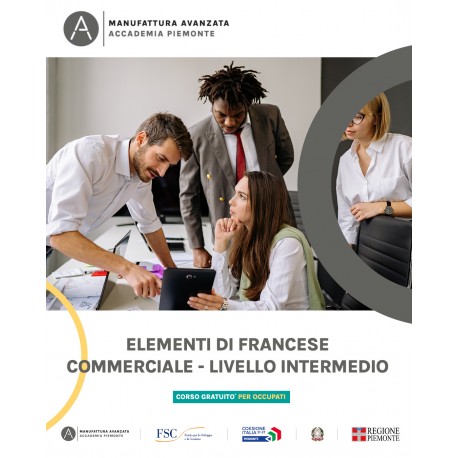 ELEMENTI FRANCESE COMMERCIALE LIVELLO INTERMEDIO