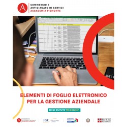 ELEMENTI DI FOGLIO ELETTRONICO GEST. AZIENDALE