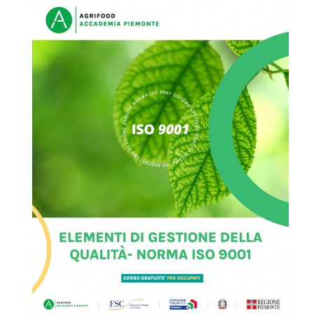ELEMENTI DI GESTIONE DELLA QUALITA' NORMA ISO 9001