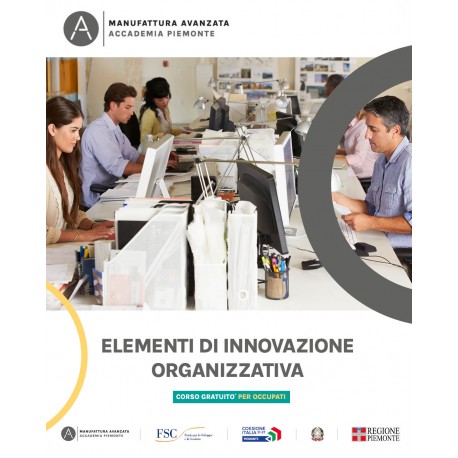 ELEMENTI DI INNOVAZIONE ORGANIZZATIVA