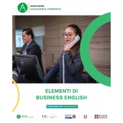 ELEMENTI DI BUSINESS ENGLISH