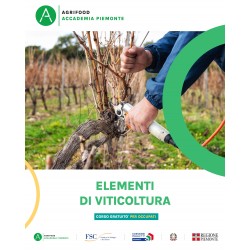 ELEMENTI DI VITICOLTURA