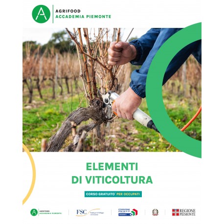 ELEMENTI DI VITICOLTURA