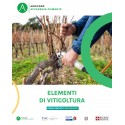 ELEMENTI DI VITICOLTURA