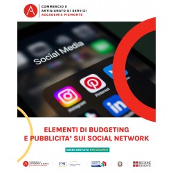 ELEMENTI DI BUDGETING E PUBBLICITA' SOCIAL NETWORK