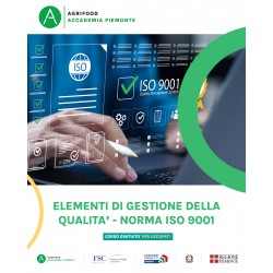 ELEMENTI GESTIONE DELLA QUALITA' NORMA ISO 9001