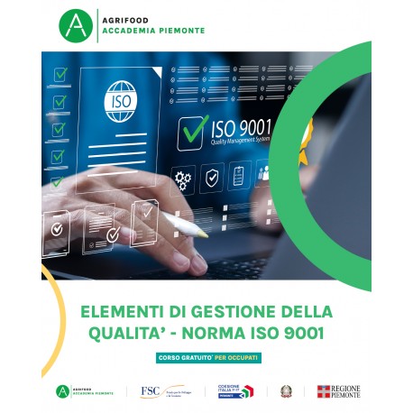 ELEMENTI GESTIONE DELLA QUALITA' NORMA ISO 9001
