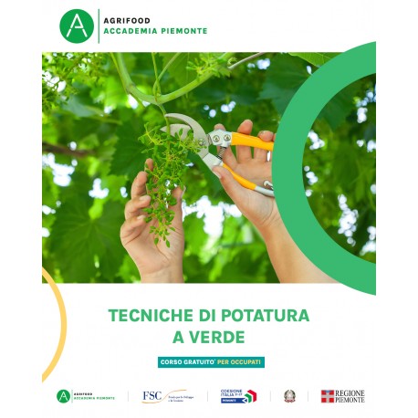 TECNICHE DI POTATURA VERDE