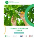 TECNICHE DI POTATURA VERDE