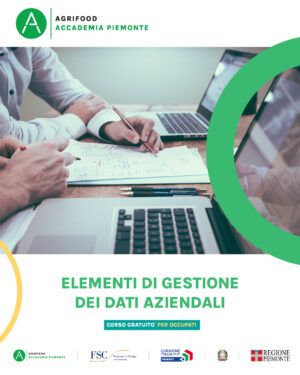 ELEMENTI DI GESTIONE DEI DATI AZIENDALI