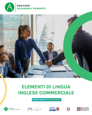 ELEMENTI DI INGLESE COMMERCIALE