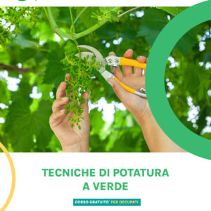 TECNICHE DI POTATURA VERDE