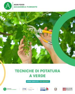 TECNICHE DI POTATURA VERDE
