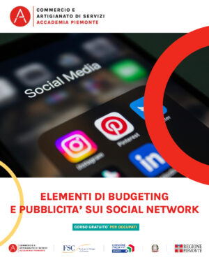 ELEMENTI DI BUDGETING E PUBBLICITA' SOCIAL NETWORK