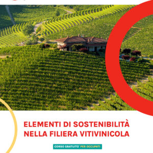 ELEMENTI SOSTENIBILITA' FILIERA VITIVINCOLA