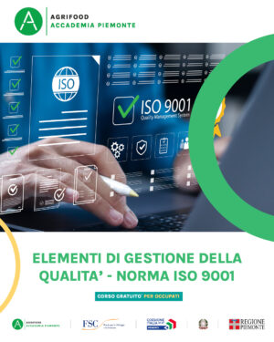 ELEMENTI GESTIONE DELLA QUALITA' NORMA ISO 9001