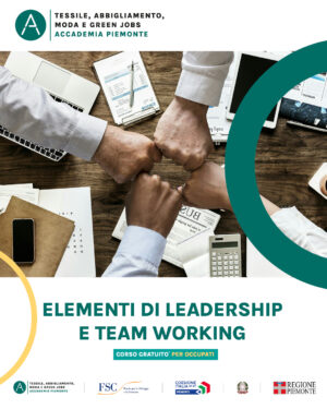 ELEMENTI DI LEADERSHIP E TEAM WORKING