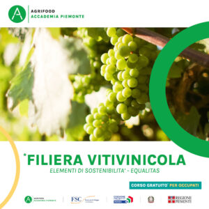 FILIERA VITIVINICOLA ELEMEMENTI DI SOSTENIBILITA' - EQUALITAS
