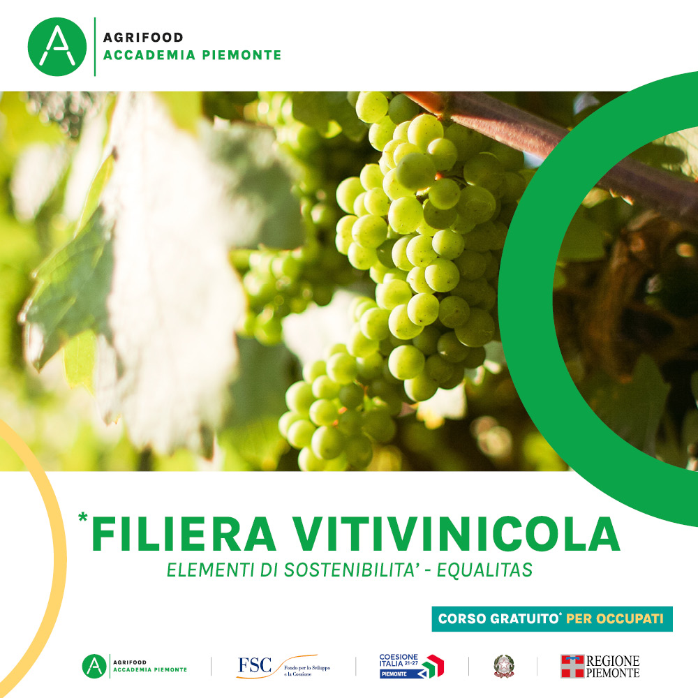 FILIERA VITIVINICOLA ELEMEMENTI DI SOSTENIBILITA' - EQUALITAS