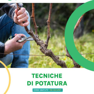 TECNICHE DI POTATURA
