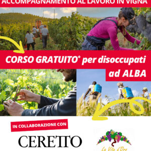ACCOMPAGNAMENTO AL LAVORO IN VIGNA