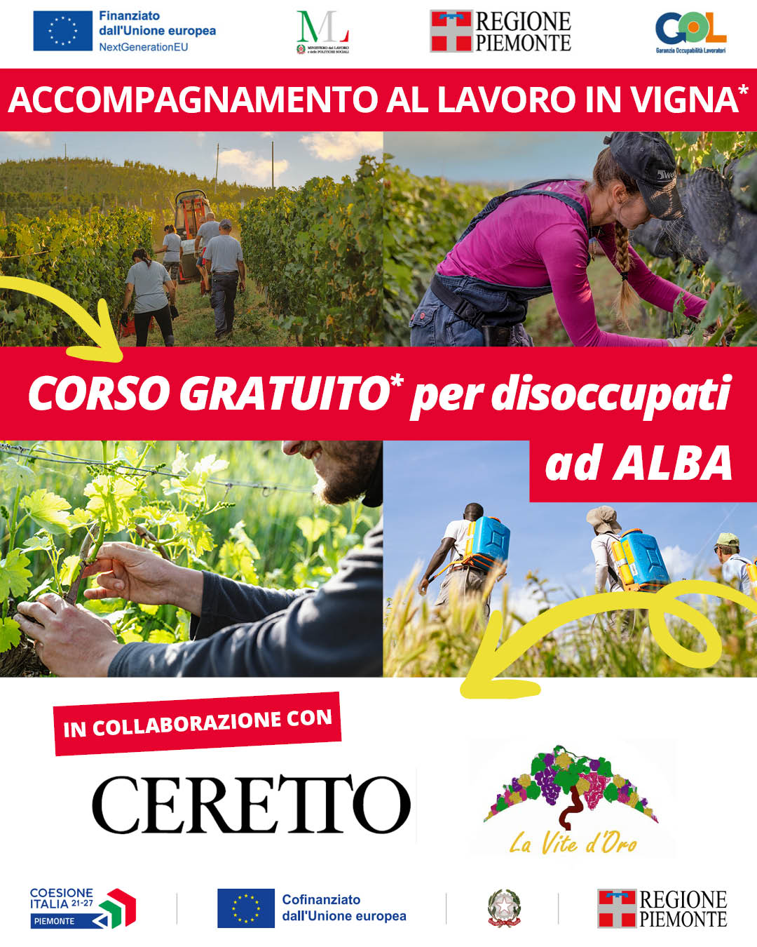 ACCOMPAGNAMENTO AL LAVORO IN VIGNA