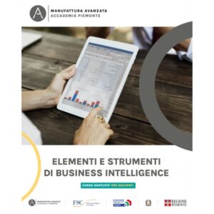 ELEMENTI E STRUMENTI DI BUSINESS INTELLIGENCE