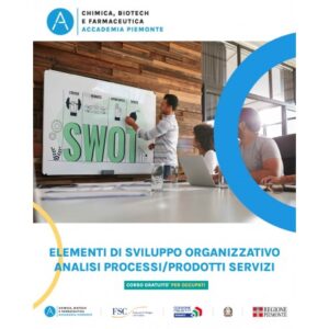 ELEMENTI SVILUPPO ORGANIZZATIVO ANALISI PROCESSI/PRODOTTI SERVIZI