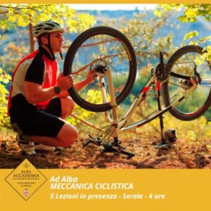 MECCANICA CICLISTICA