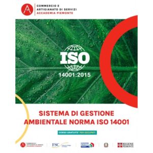 SISTEMA DI GESTIONE AMBIENTALE-NORMA ISO 14001
