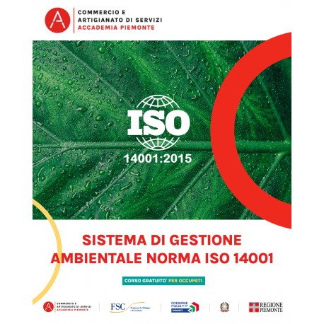 SISTEMA DI GESTIONE AMBIENTALE-NORMA ISO 14001