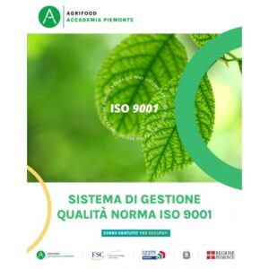 SISTEMA DI GESTIONE QUALITA' - NORMA ISO 9001